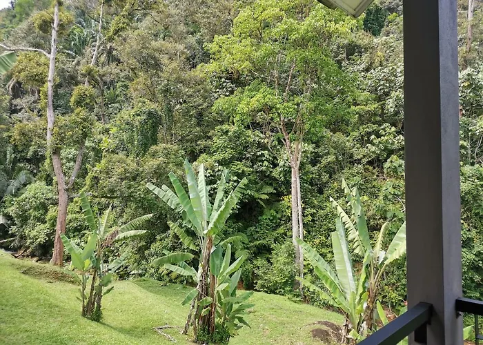 Sementra Hot Spring Nature Resort