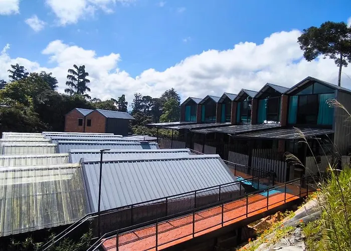 Campod Resort @ Cameron Highlands
